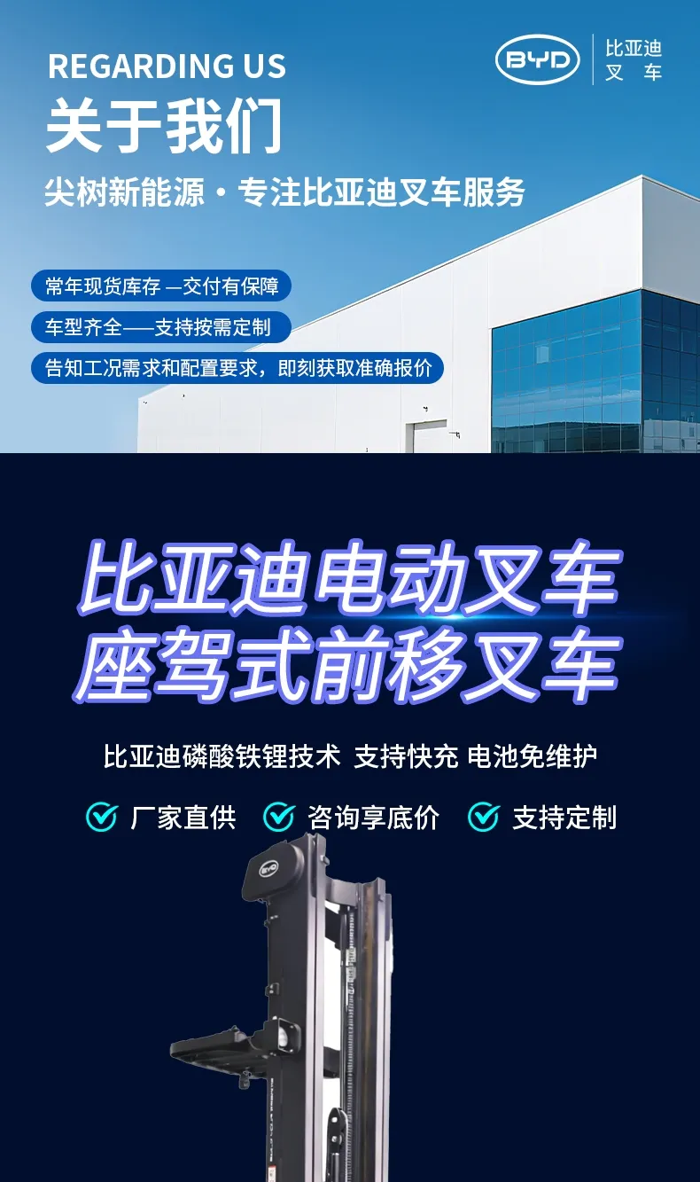 BYD ركوب على سلسلة رافعة شوكية الوصول(الرقم1) BYD ركوب على سلسلة رافعة شوكية الوصول(الرقم1)
